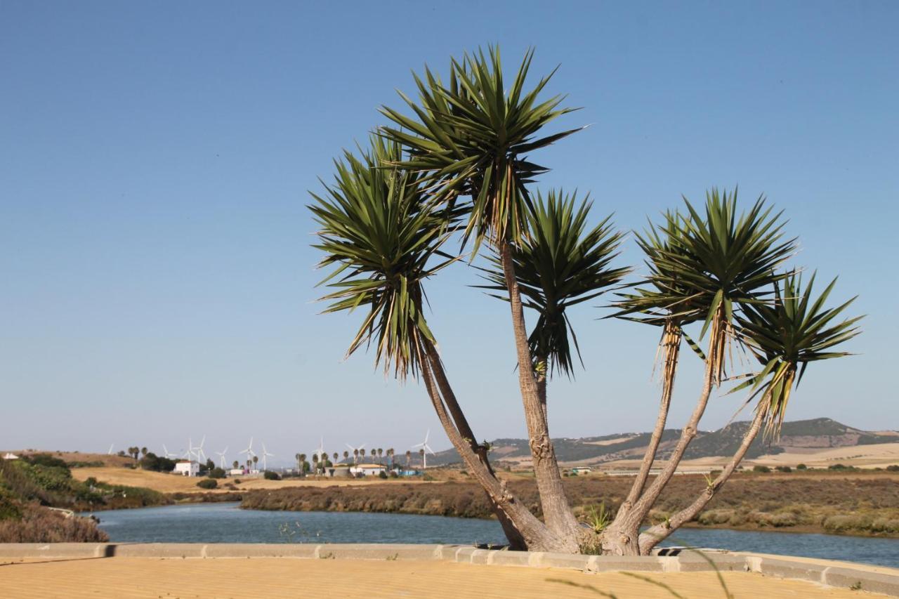 Apartamento Duplex En Conil Conil De La Frontera Exteriör bild